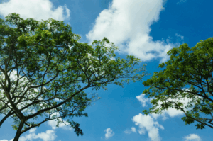 ATMO-RHENA PLUS project